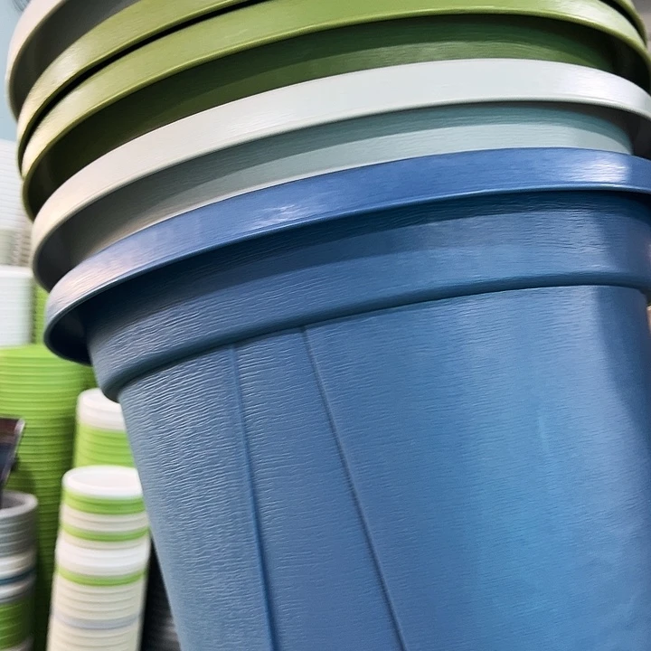 正品青山口32高28果绿色5个无托