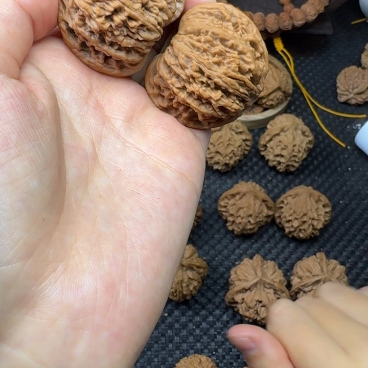飞***缆原树桃花园雪花狮子头