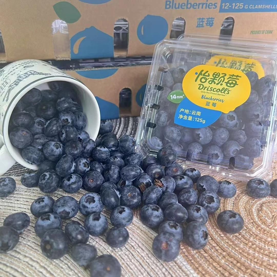 【乐鲜果园】云南怡颗莓蓝莓125g/盒新鲜蓝莓水果