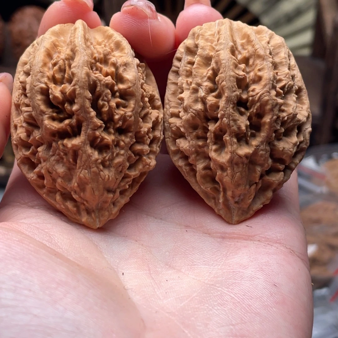 摩***龙把件文玩核桃楸刀鱼112