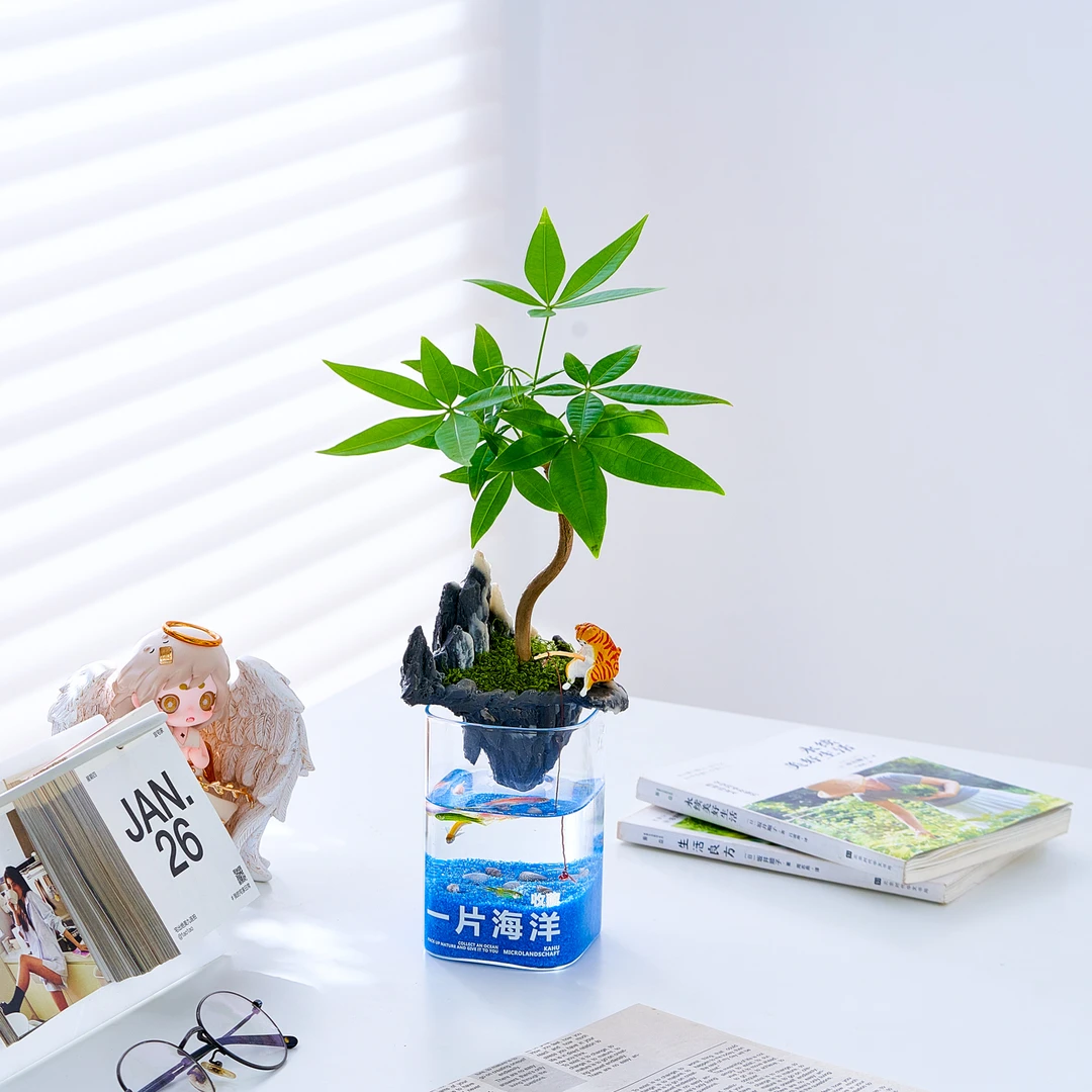 一片海洋微景观摆件桌面小盆栽好养放轻松解压办公室绿植假山造景