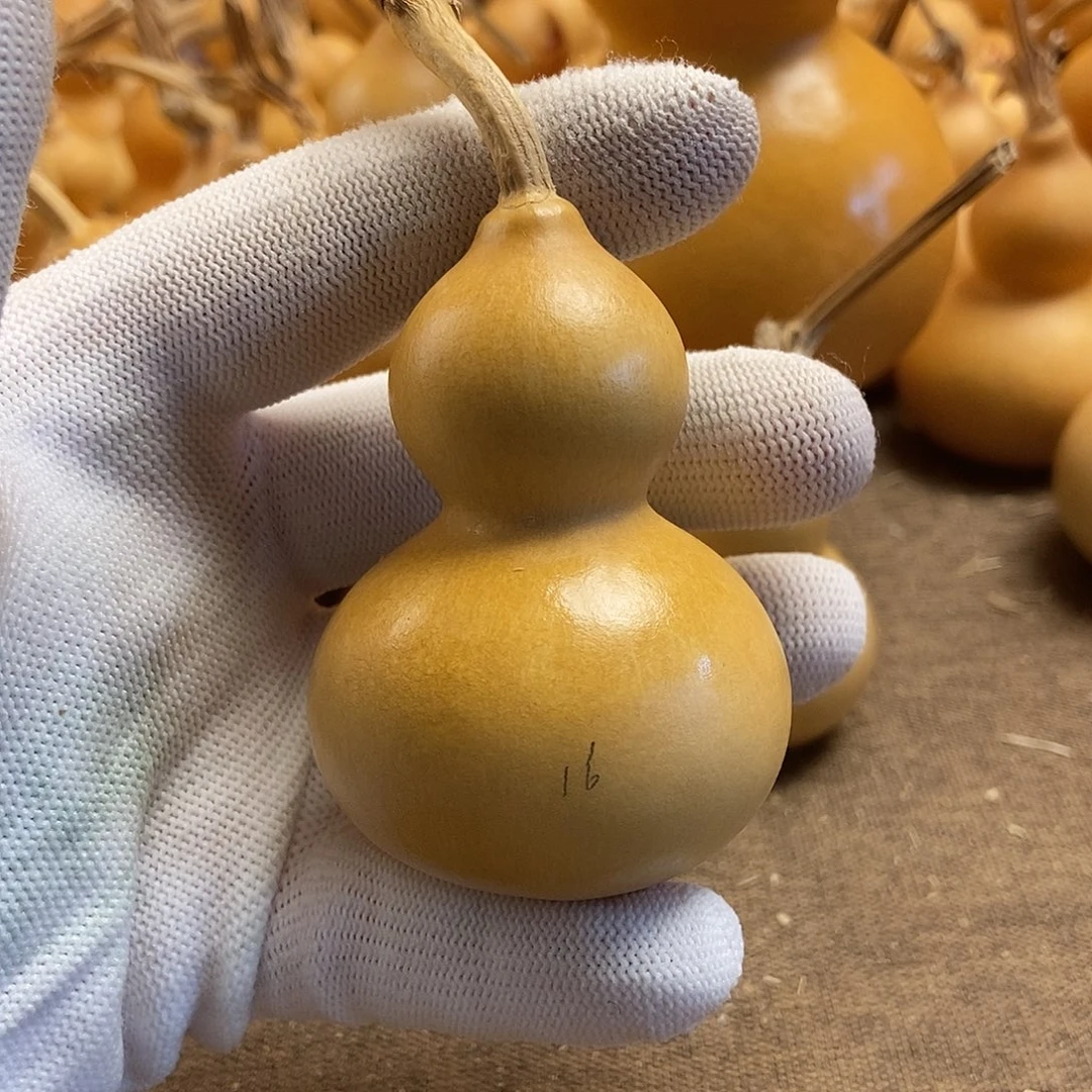 文玩葫芦 完美主义者 慎拍16
