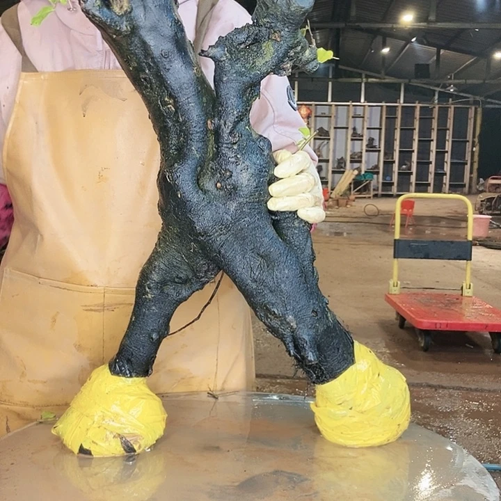 不知道是谁在看我的微博