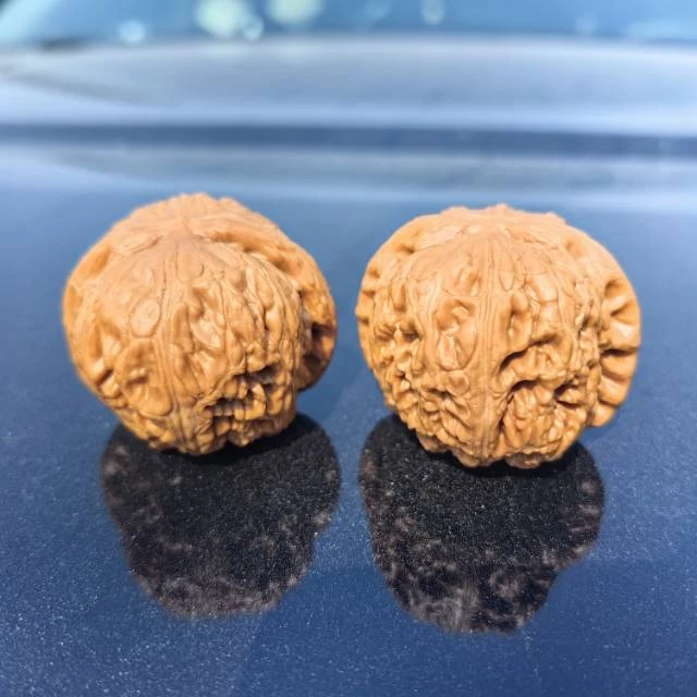 【老胡严选】20 G95595-平谷元宝核桃-尺寸45mm