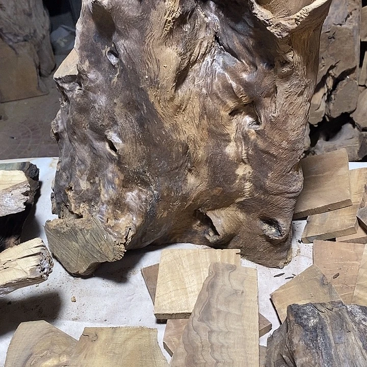 金丝楠木小叶桢楠木