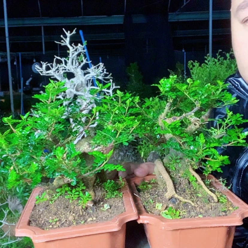 【闪购商品】塑料盆等各种规格的