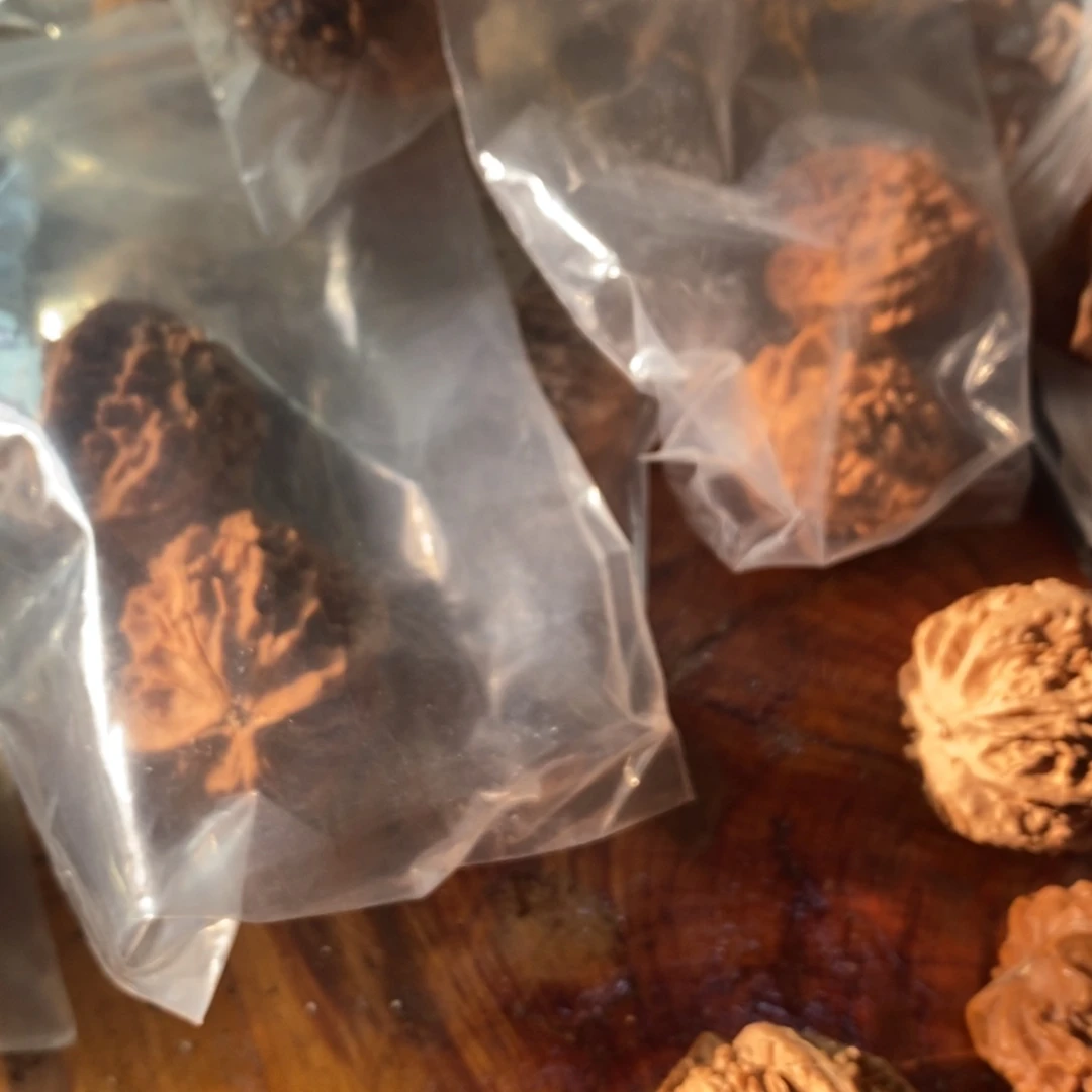 秦岭山脉是以北缘或