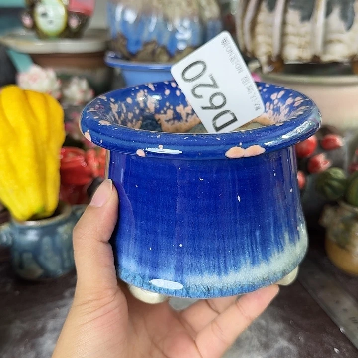 重庆小燕子欢迎大家620