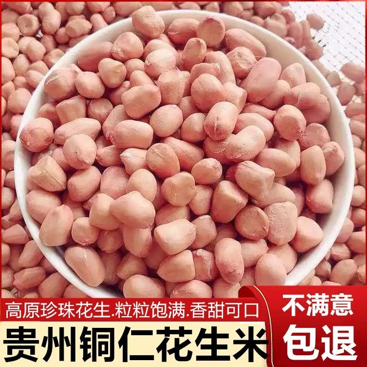 铜仁本地花生米 生花生仁260g 贵州老品种精选粉皮花生自然晒干
