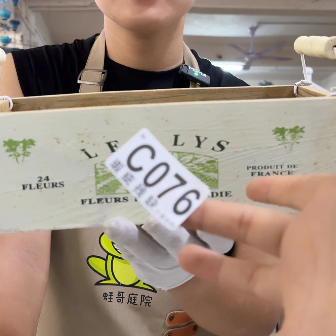 核桃木/黑胡桃（胡桃木）