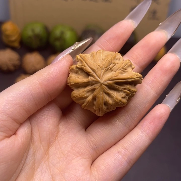 齐***齐菩提籽类三棱单只有黄