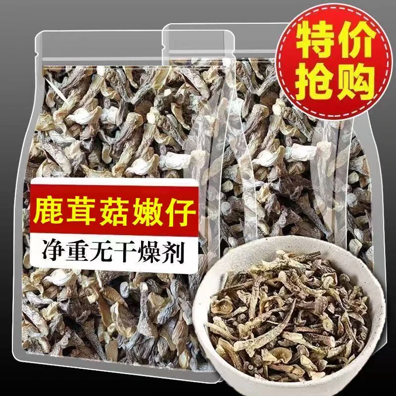 【抢一斤】当季新鲜鹿茸菇嫩仔脆嫩爽口煎炒煲汤味美鲜香老少皆宜