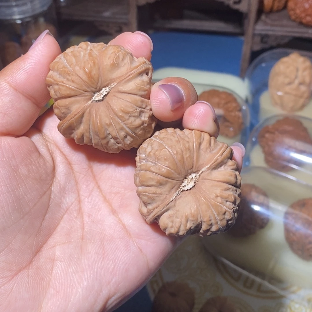 木质类44全品南瓜肚46