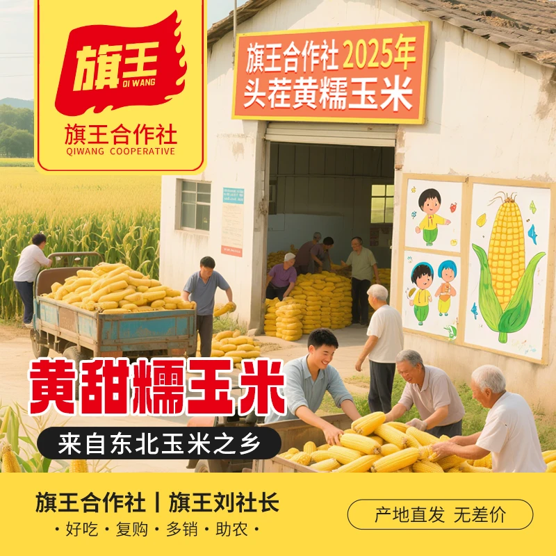 25年头茬新玉米】金箔黄甜糯玉米8大棒