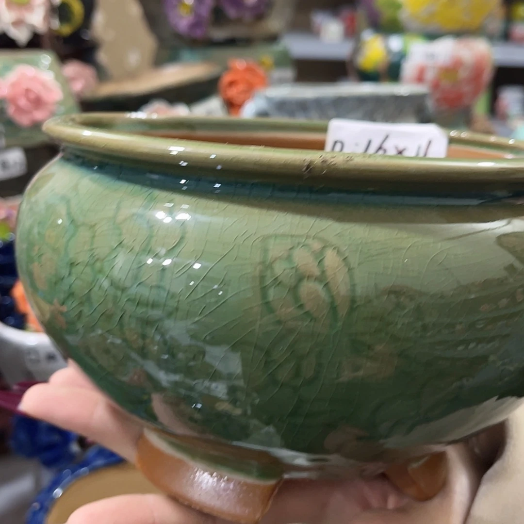 【闪购商品】红陶福利