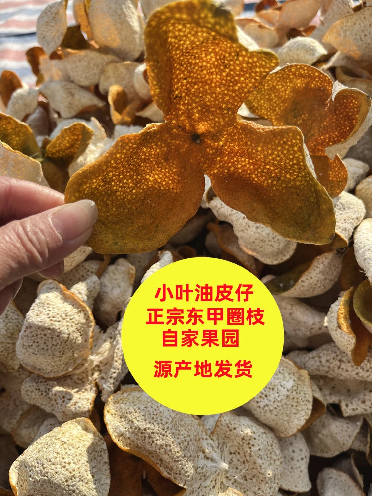 16年树2025年正宗东甲圈枝油皮仔老树自然生晒新会陈皮特产