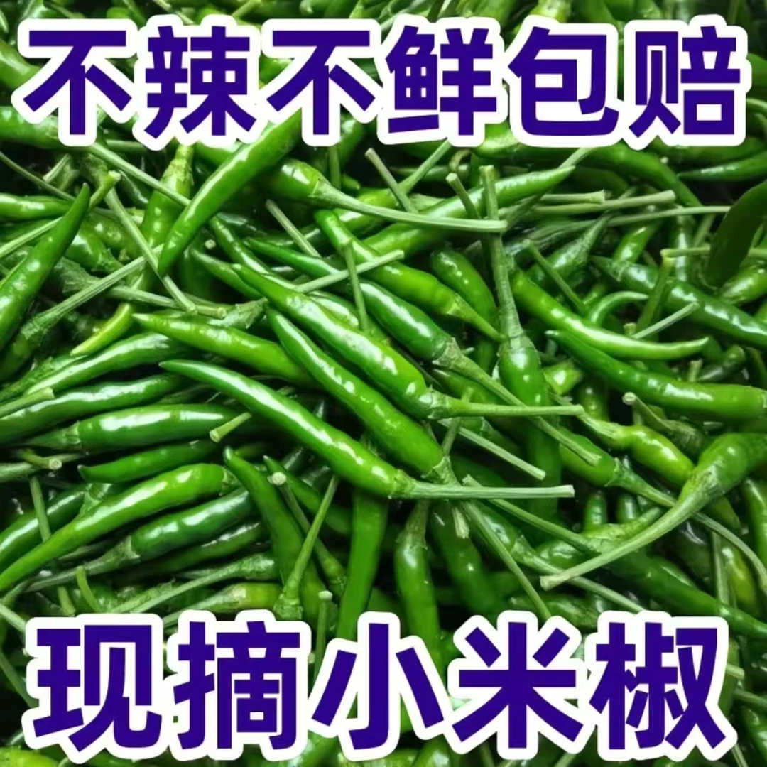 新鲜青小米椒辣椒新鲜指天椒现摘超辣朝天椒特辣泡椒剁椒农家直发