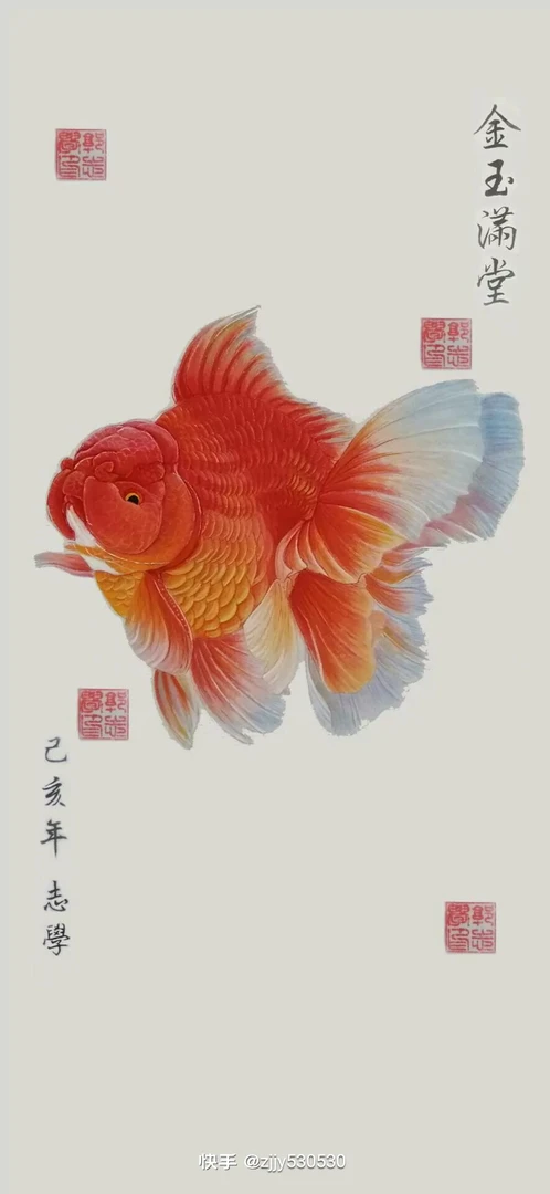 金鱼直播差价专用链接