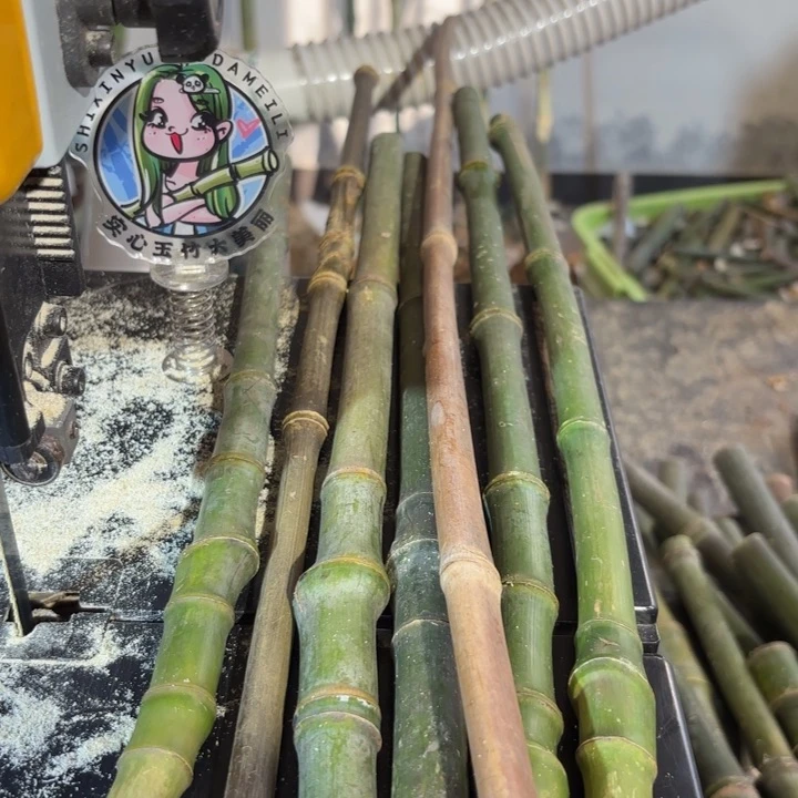 竹川***仔实心竹竹竹竹竹竹竹竹