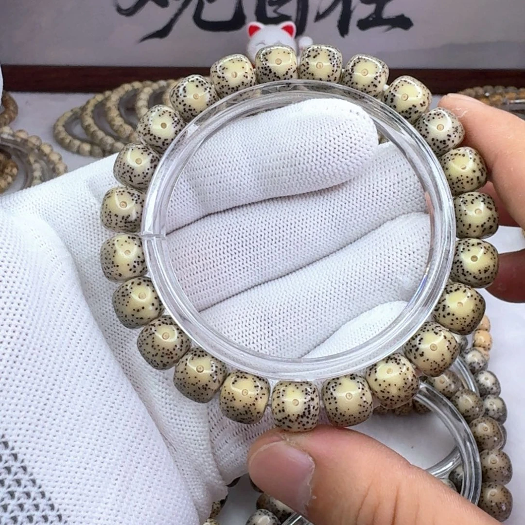 手串星月菩提10×9黄金瞳 071