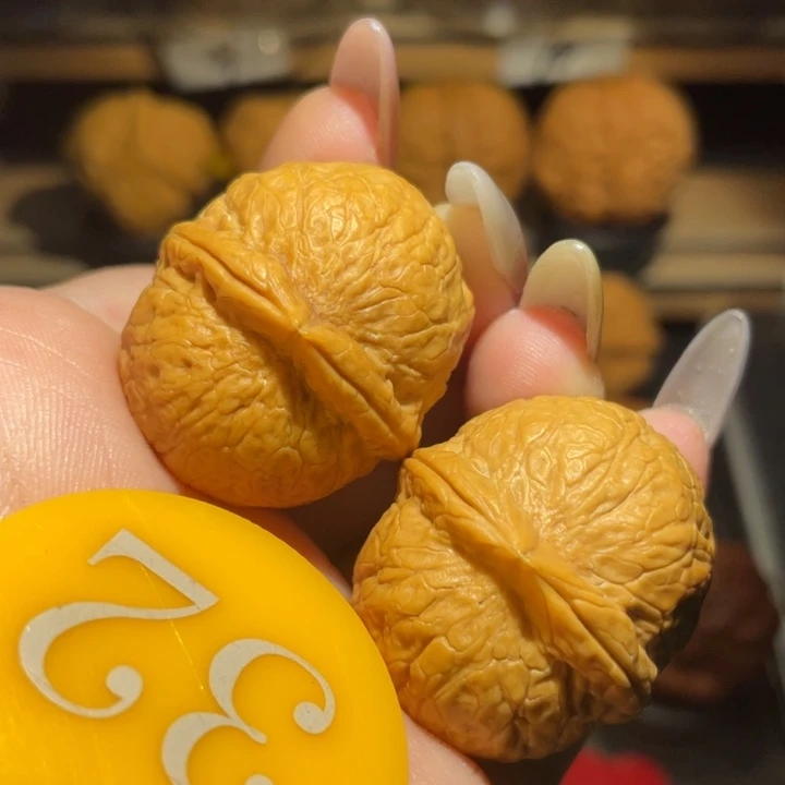 龙珠33尺寸核桃。