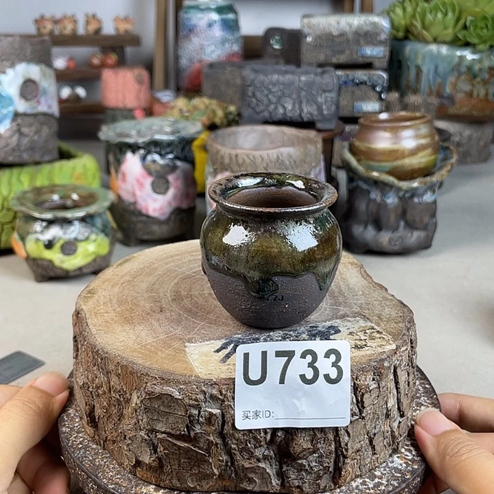 开播福利 陶瓷花盆 默认微次