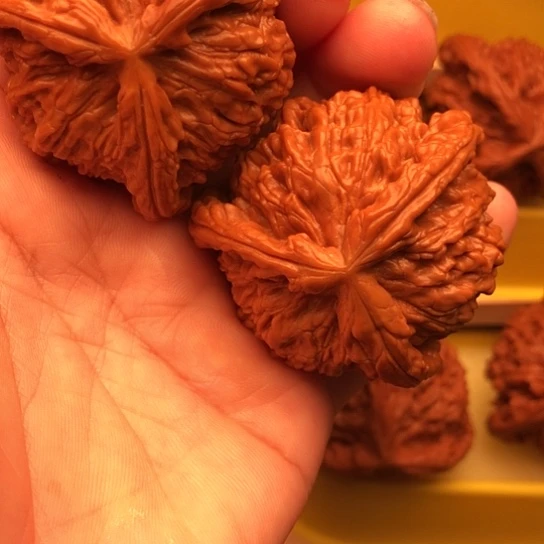 点***犀核桃核桃核桃核桃核桃核桃