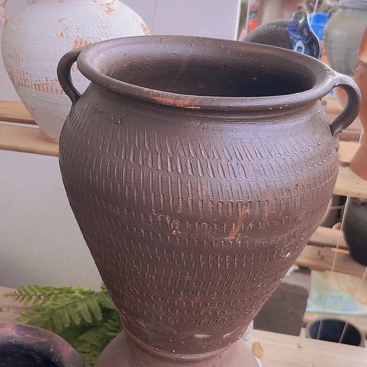 红陶288号28×21咖瑕