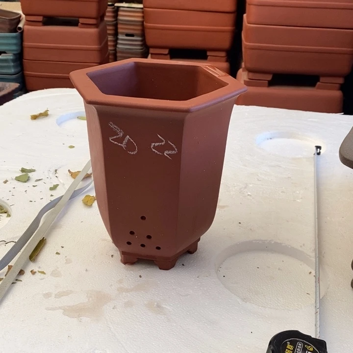 紫砂花盆只顾吃药睡一