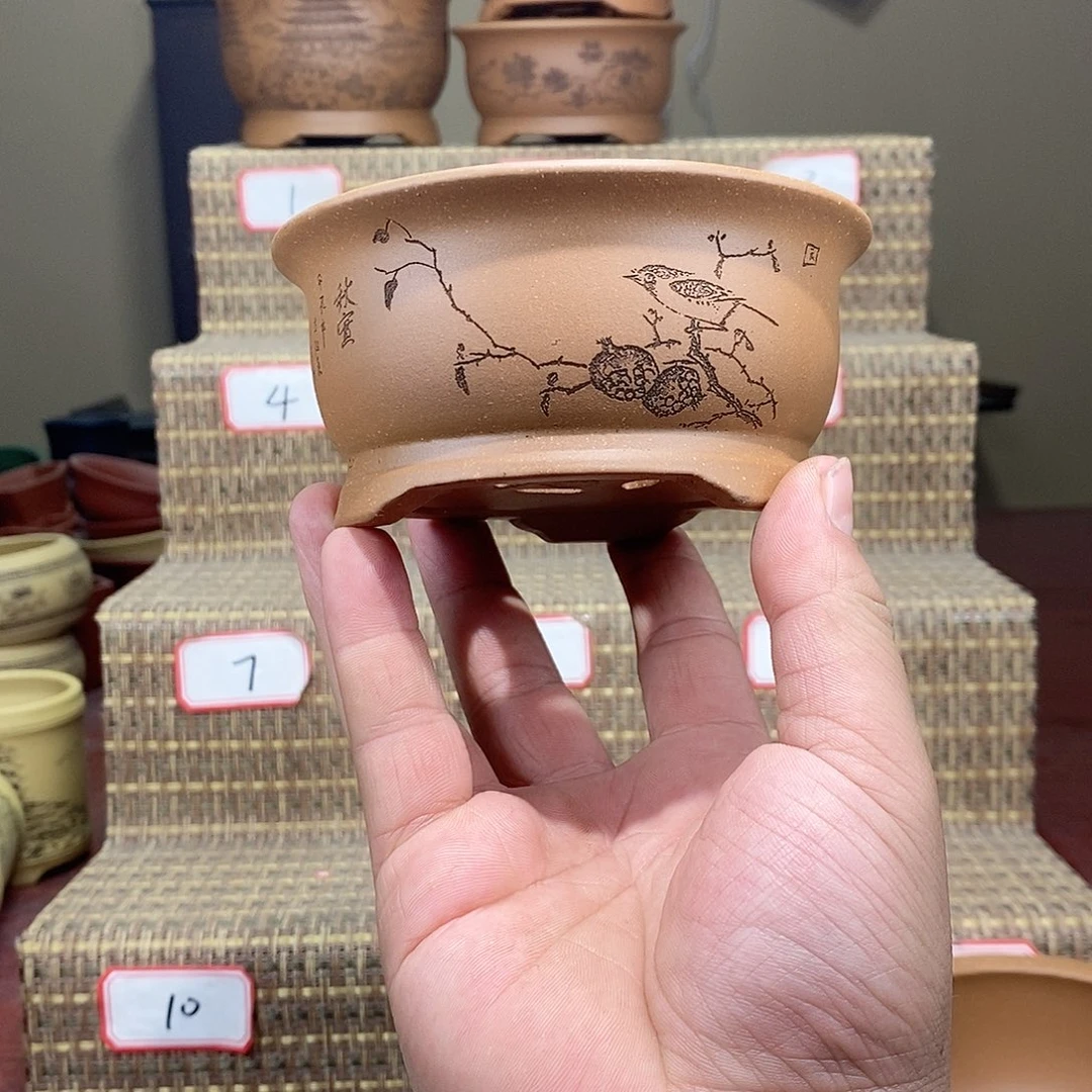 紫砂花盆我在等他