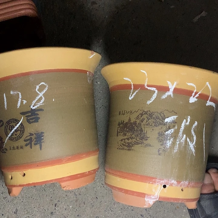 紫砂花盆紫砂的花也太美