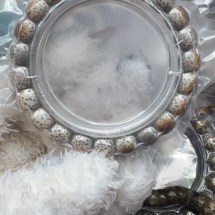 星月菩提手串522高端火烧云星月菩提10桶单圈