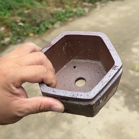 是因为她太喜欢他这个性格吗