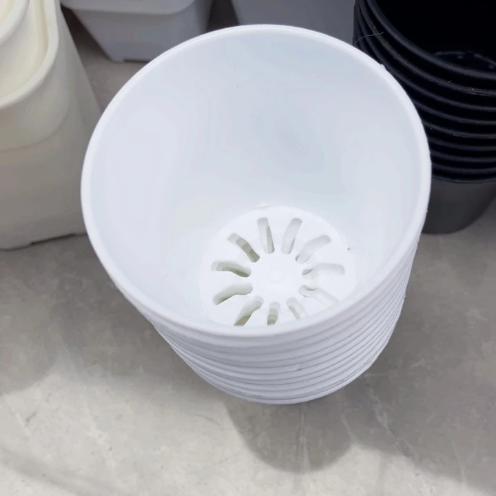 白万象口9高9一组20