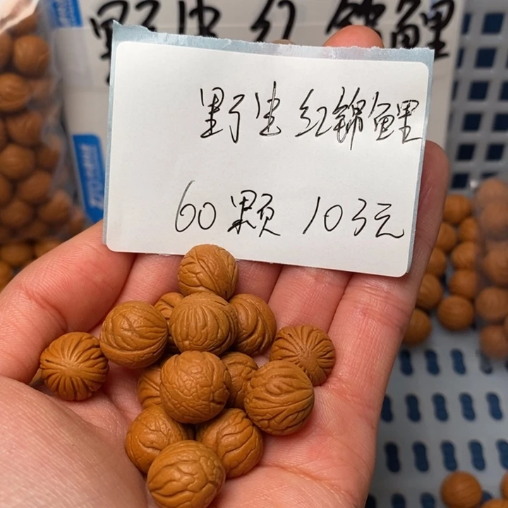 桃核手串12尺寸左右野生红锦鲤打好底打孔带绳60颗