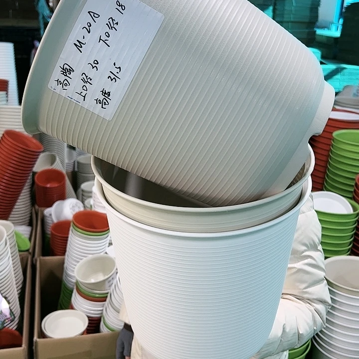正品高陶口30高31米色无托3只