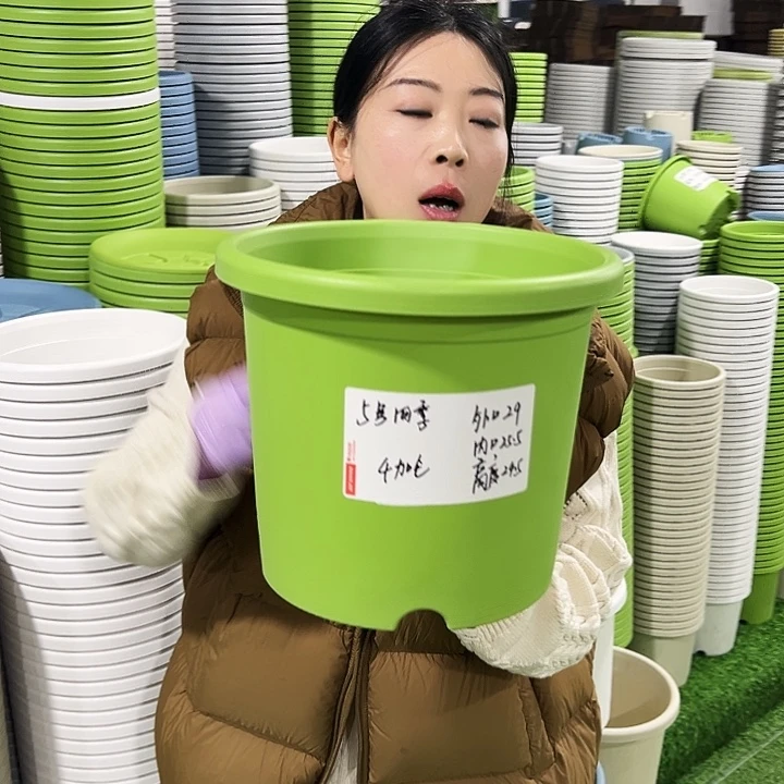 特价5号四季口29高24.5白色5只无托