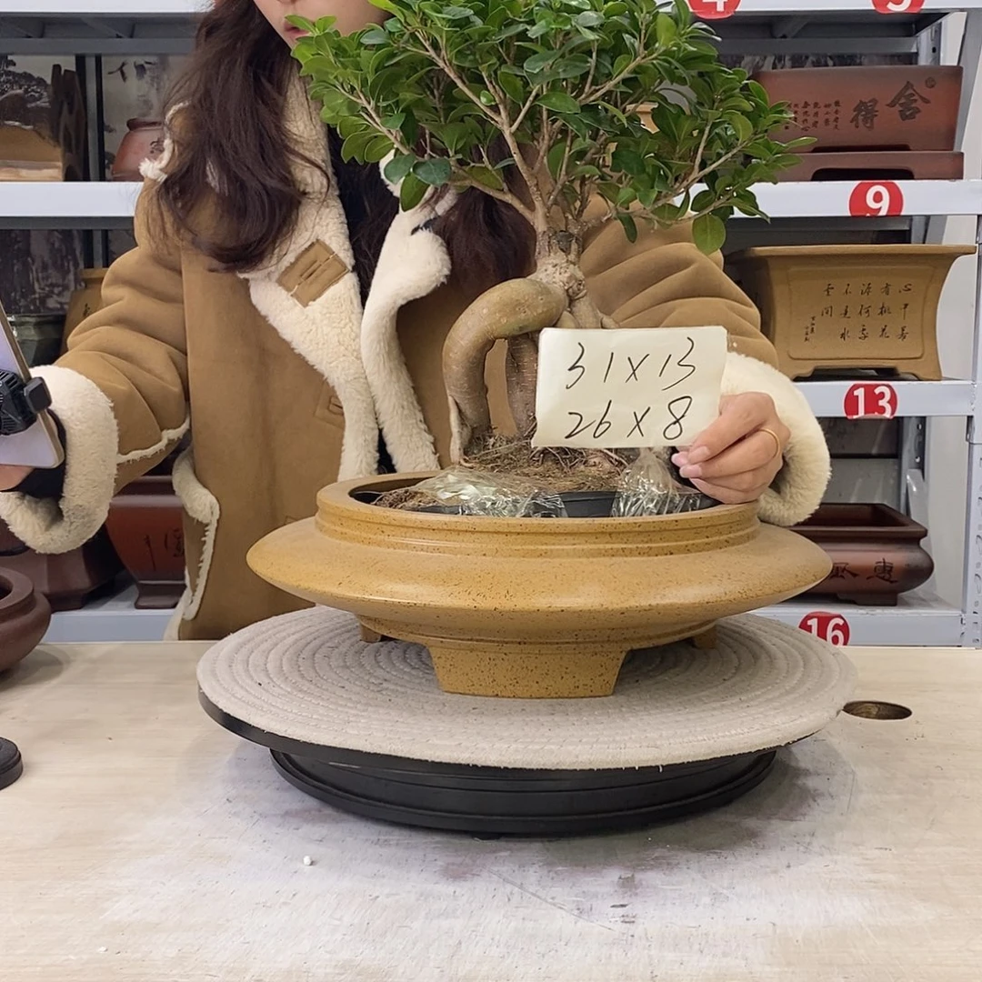 花盆紫砂紫砂花盆