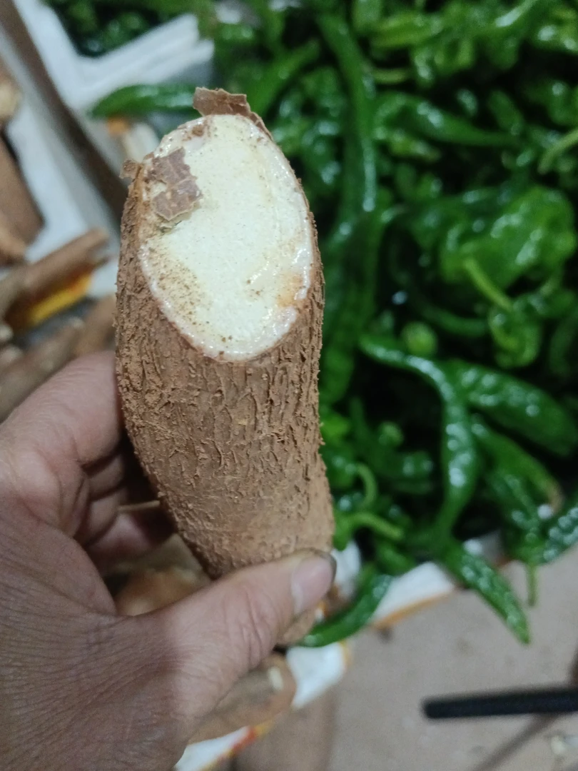 广西粉面黄肉木薯