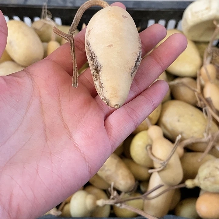 用****7s d g b b n n j j