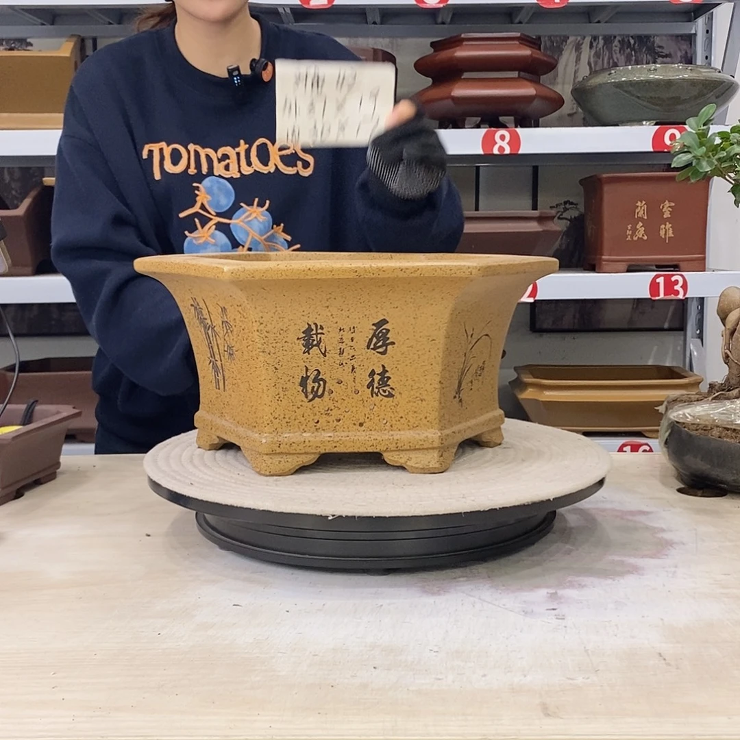 紫砂花盆紫砂花盆