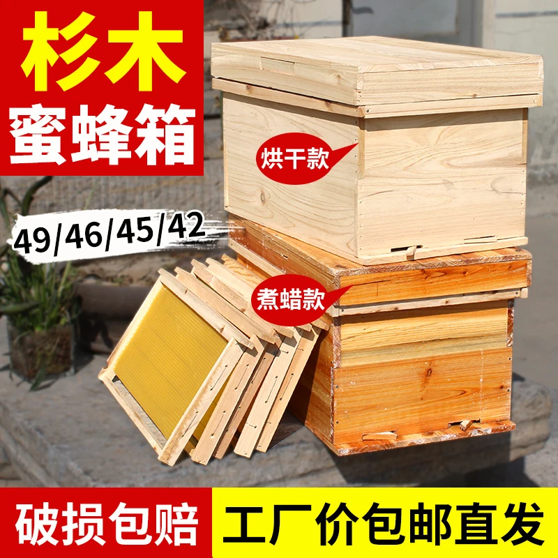 七框标准蜂箱蜜蜂养蜂箱子土养中锋1.1蜂箱养蜂专用工具全套