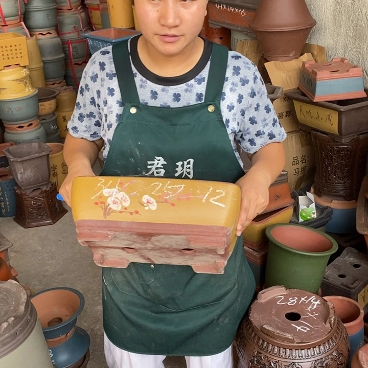 紫砂花盆盆栽花卉苗木