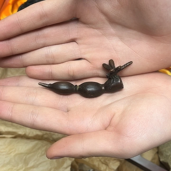 大叶紫檀（黑酸枝木类）