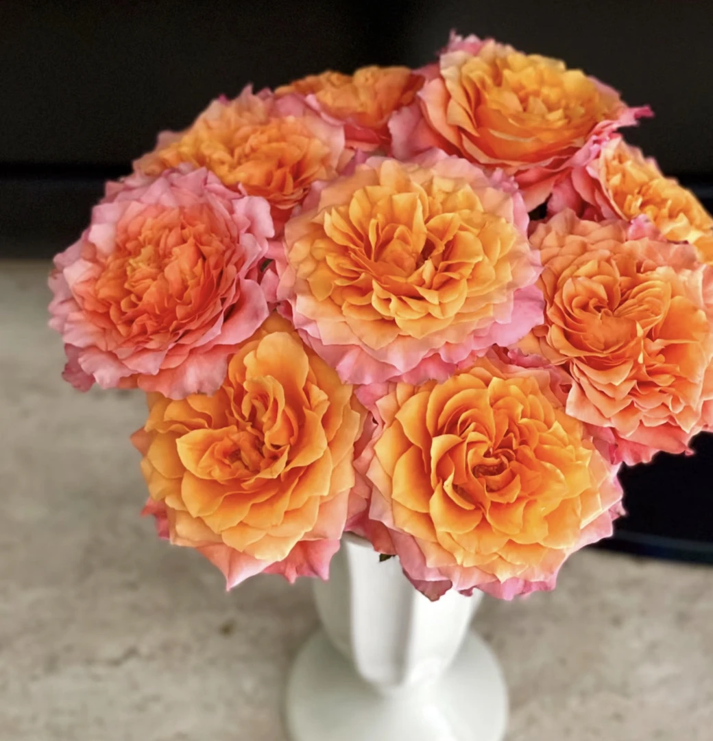 （曼曼）火灵鸟单头玫瑰15+5支防损鲜花任意2单包邮