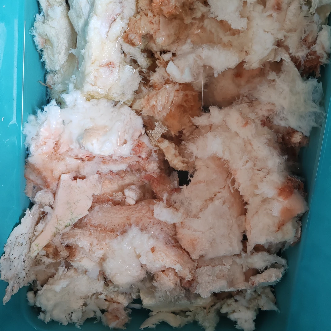 一品香珍品好物太岁菇