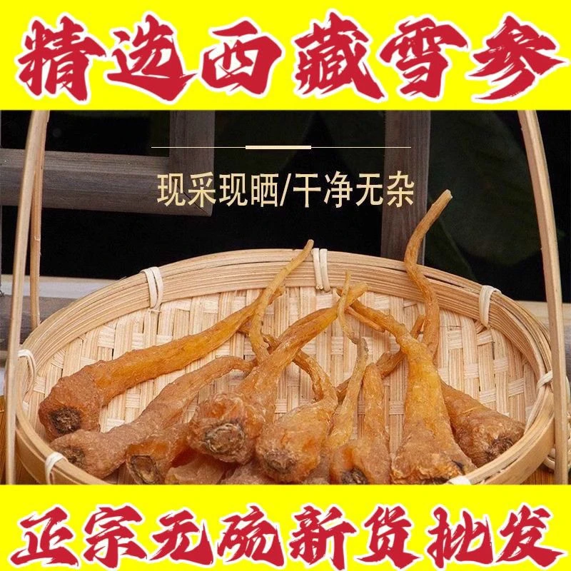 藏雪参大条野生正品高海拔4200米藏雪参藏雪参无硫精选泡水酒煲汤