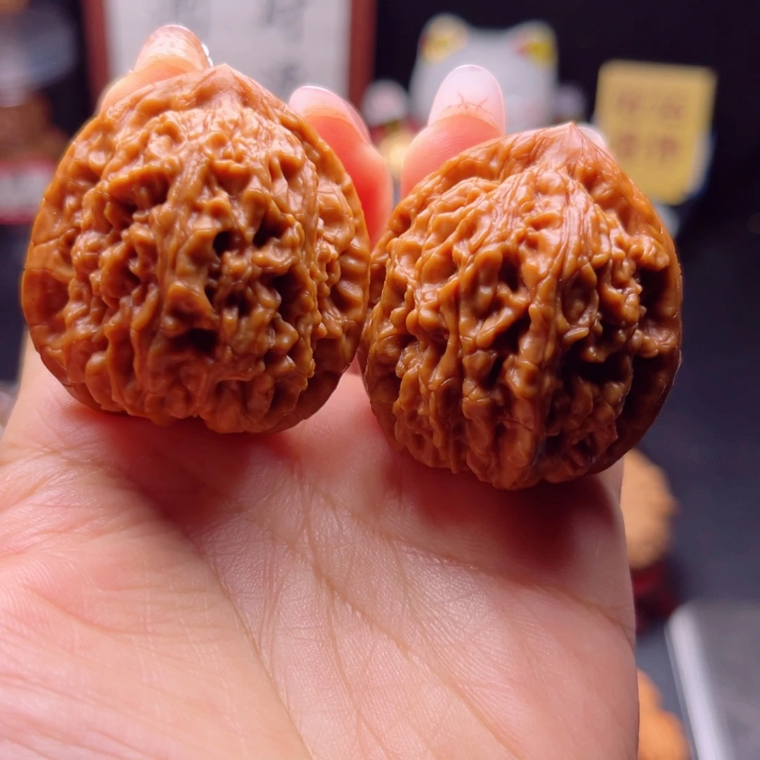 核桃野生小众蚂蚁王