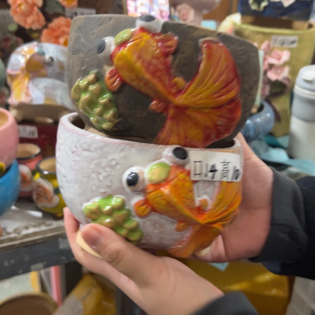 花盆，拍满20发货，退款拉黑