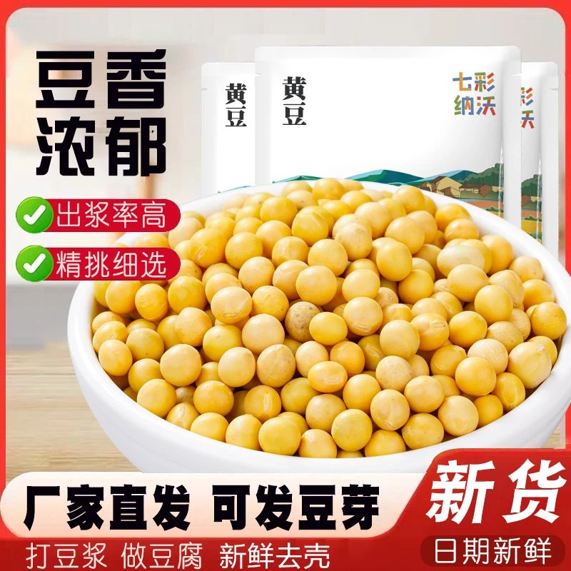新黄豆农家自种大豆五谷杂粮非转基因老品种生豆芽黄豆批发散装
